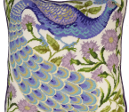 TAP6 Peacock scanned small