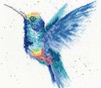 XHD57 Rainbow small