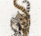 XHD60 Feline Good scanned small