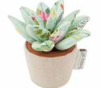 XPC6 Succulent