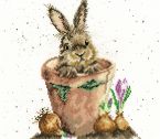 XHD76 The Flower Pot small