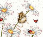 XHD80 Daisy Mouse scanned small