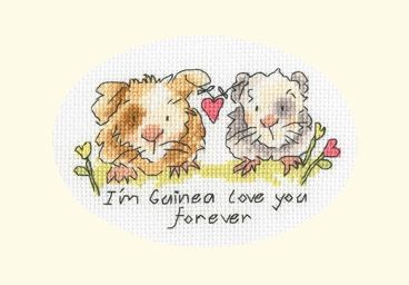 XGC41 Im Guinea Love You Forever Small Mounted