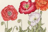 XBD15 Poppy Blooms Small