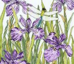 XFY3 Iris Garden Small