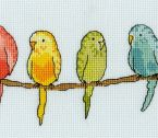 XRO9 Row of Budgies small