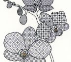XBW2 Orchid Small
