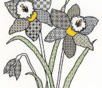 XBW7 Daffodils scanned small