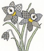 XBW7 Daffodils scanned small