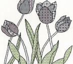 XBW8 Tulips scanned small