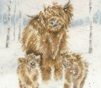 XHD128 Highland Christmas Medium