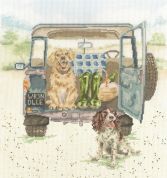 XHD126 Paws For a Picnic Medium