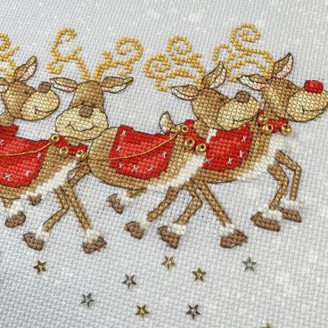 XKTB9 Sleigh Ride Details