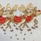 XKTB9 Sleigh Ride Details