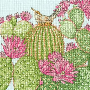 XFY10 Cactus Garden Medium