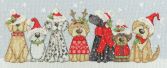 XKTB10 Holiday Hounds Medium