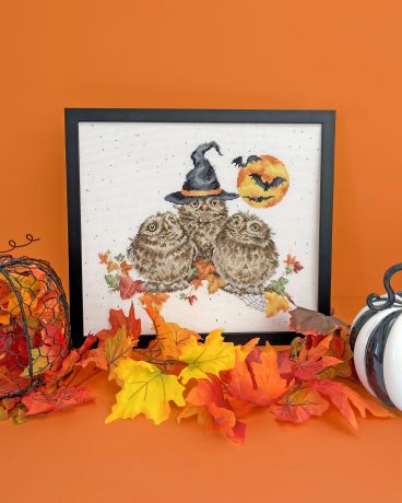 XHD145 Happy Owl o ween Lifestyle