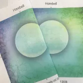 Harebell