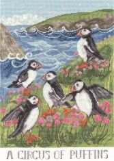 XDD9 Circus Of Puffins Medium