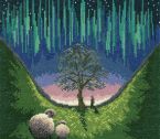 XLP13 Sycamore Gap Screen Medium