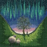XLP13 Sycamore Gap Screen Medium