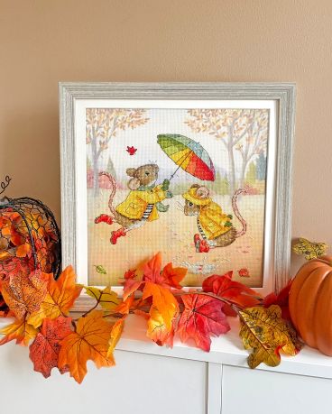 XS33 Sunshine And Showers Lifestyle