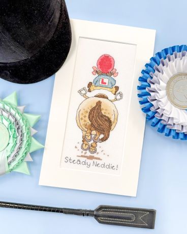 XT9 Steady Neddie Lifestyle