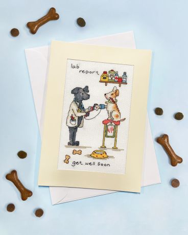 XGC63 Lab Report Lifestyle