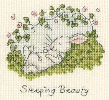 XAJ31 Sleeping Beauty Medium