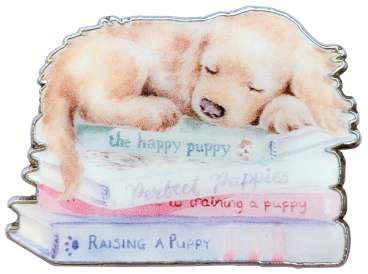 XA70 A Pups Life PNG