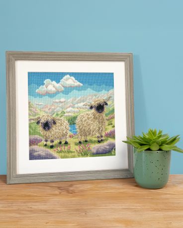 XLP22 Spag And Hetti Lifestyle