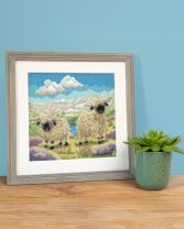 XLP22 Spag And Hetti Lifestyle