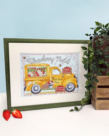 XKTB25 Strawberry Fields Lifestyle with Strawbs