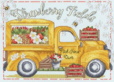 XKTB25 Strawberry Fields Medium