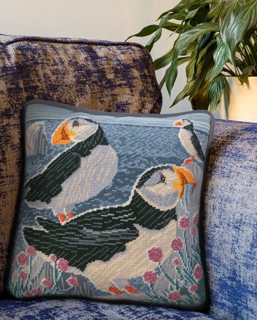 TLP1 Sea Thrift Cliftops Lifestyle