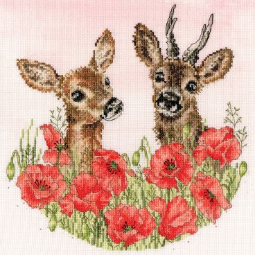 XHD161 My Deer Medium