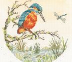 XHD164 Pond Dipping Medium
