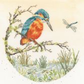 XHD164 Pond Dipping Medium