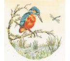 XHD164 Pond Dipping Medium