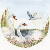 XHD162 Swan Lake Medium
