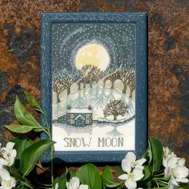 XDD4 Snow Moon Lifestyle