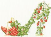 XSK19 Strawberries and Cream Medium