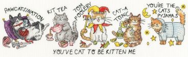 XJE1 Youve Cat To Be Kitten Me Small