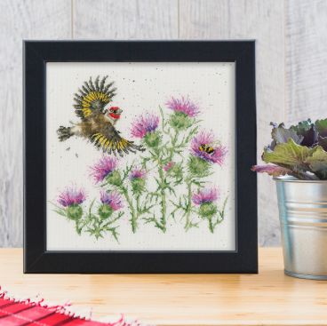XHD133 Feathers And Thistles Lifestyle