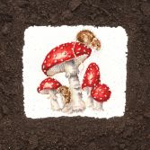 XHD101 The Fairy Ring Lifestyle