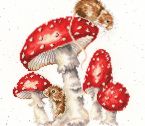 XHD101 The Fairy Ring Small