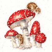 XHD101 The Fairy Ring Small