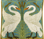 TAC18 Swan Rush and Iris Medium