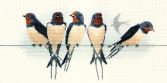 BB05 Swallows med