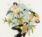 BB04 Goldfinches med